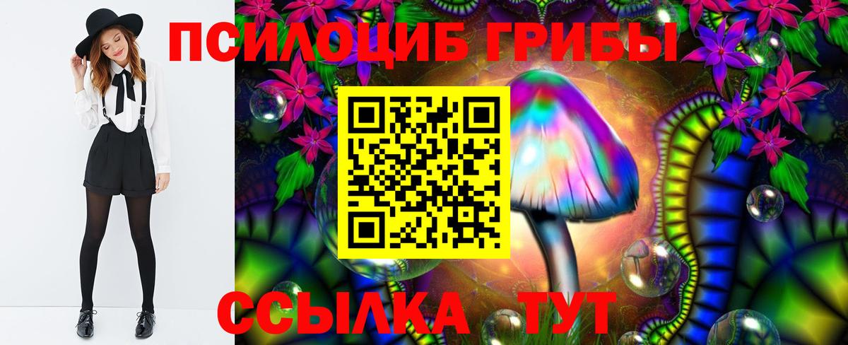 где купить наркотик  Вход с VPN  Псилоцибиновые грибы GOLDEN TEACHER  Выкса  Псилоцибиновые грибы мухоморы 